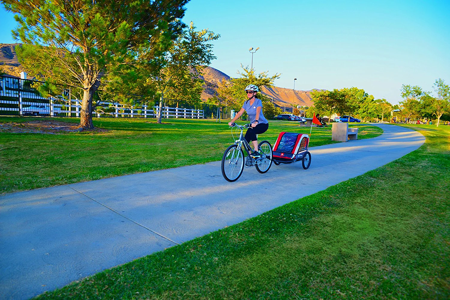 Allen Sports Deluxe 2-Child Steel Bicycle Trailer, Red - Image 2