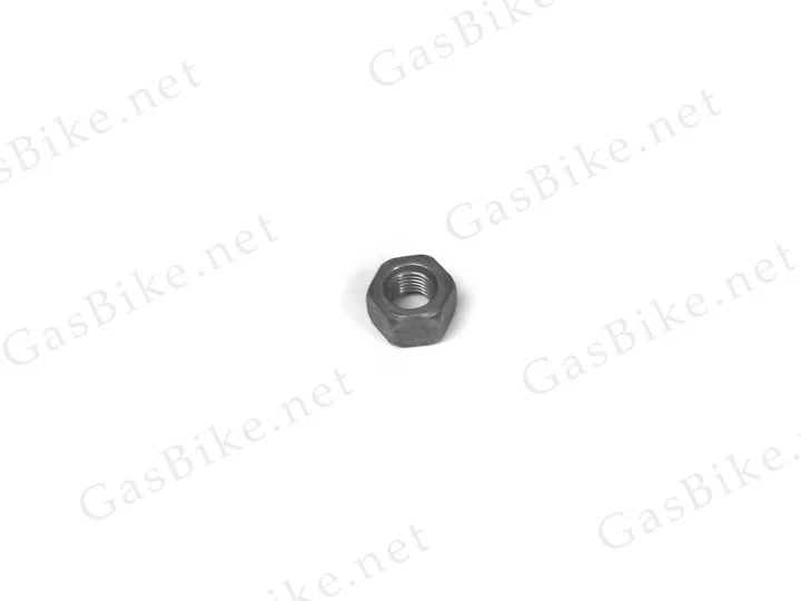 Magneto Nut