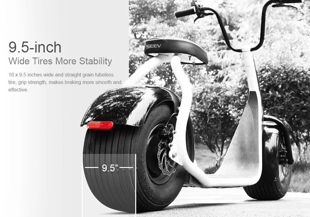 SEEV-800 Electric Lifestyle Fat Tire Scooter 800w Hub Motor E-Bike Bicycle - Image 5