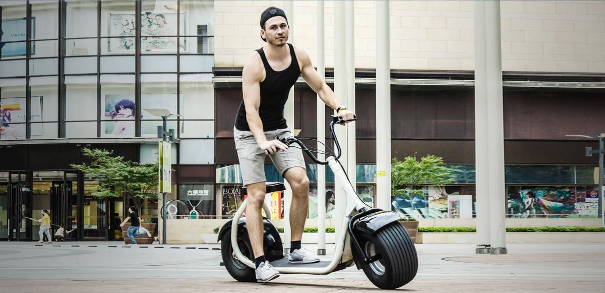 SEEV-800 Electric Lifestyle Fat Tire Scooter 800w Hub Motor E-Bike Bicycle - Image 9